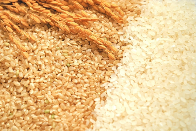 新米コシヒカリの販売を開始します。