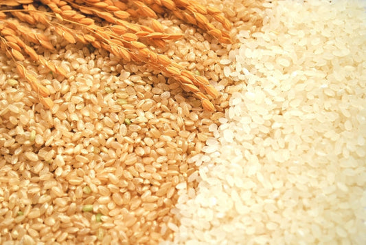 新米コシヒカリの販売を開始します。